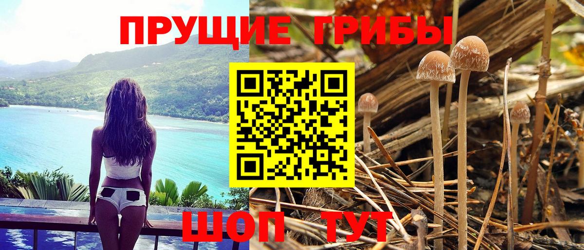 Галлюциногенные грибы мухоморы Пугачёв